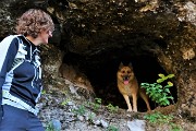 Autunnale in CIMA MENNA (2300 m) da Zorzone ad anello con discesa dal Chignol d’Arale il 25 ott. 2018- FOTOGALLERY